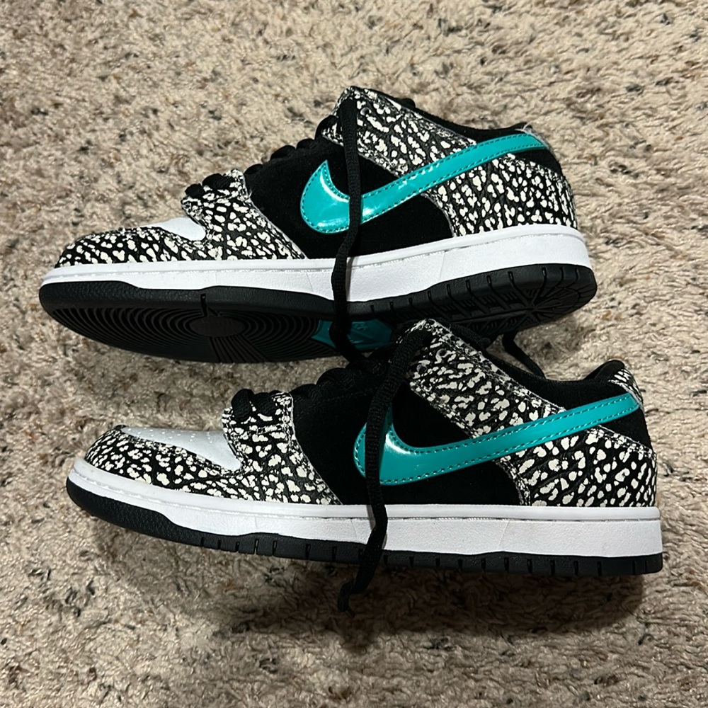 Nike SB Dunk Low Pro